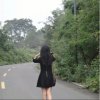 幸福玫瑰（娱乐*喜好）的头像