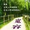 新新的头像