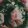 梦想成真的头像