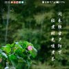 一尘的头像