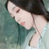 沙漠胡杨的头像