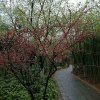 快乐雨的头像