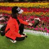 花之的头像