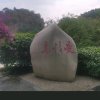 风雨同舟的头像