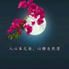 春来77细语的头像