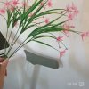 今生无悔的头像