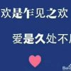 爱你一万年的头像