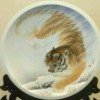 深情在左，的头像