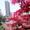 无悔的头像