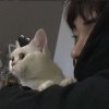 确幸的头像
