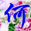 厚德载物的头像