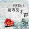 酒香迷云的头像