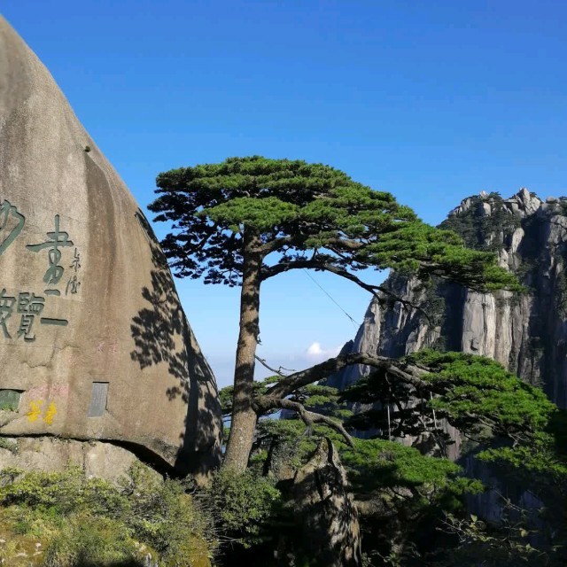 思恋天边的你(热度:33)由多情剑翻唱，原唱歌手谢世超