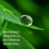 智慧人生的头像