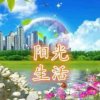 与忧伤有染的头像