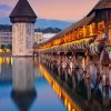 琴的头像