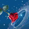 红玫瑰／恋百合（有访必回）的头像