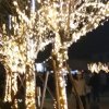 努力才会幸褔的头像