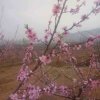情深深雨蒙蒙的头像