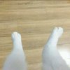 wow的头像