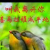 平安幸福的头像
