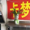 潇蓝蓝的头像
