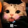大健健的头像