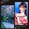 xⅰαng，zⅠ的头像