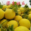 开心一哈 的头像