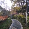涛声依旧的头像