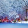 雪莲花《暂离》的头像