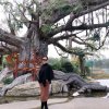 翠竹青青的头像
