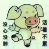 Yan.hua的头像
