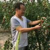 幸福的头像