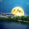 彩湖望月的头像