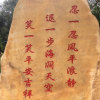 娱乐的头像