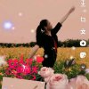 惠姐姐的头像