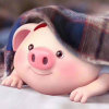 小猪猪的头像
