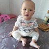 杨的头像