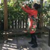 可爱da宝贝暂退的头像