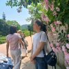 蜕变的头像