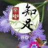 知足常乐小号的头像
