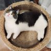 。的头像