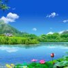 善善的头像