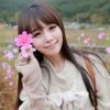 ꧁蝶恋花꧂的头像
