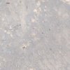 孩子他爸的头像