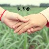 我在等你呀的头像