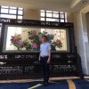 东的头像