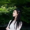 雨后的阳光的头像