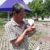 闲云野鹤的头像
